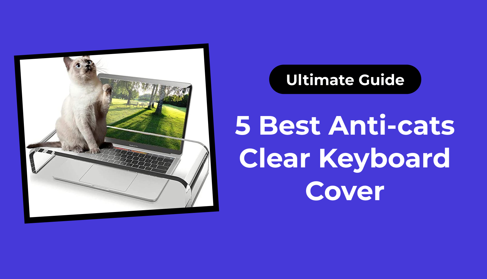 5 Best Anti-cats Clear Keyboard Cover (Ultimate Guide)